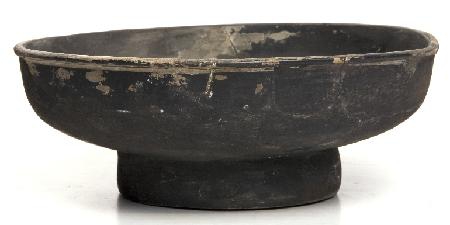 Marian Venceslá Delgado (CERES)